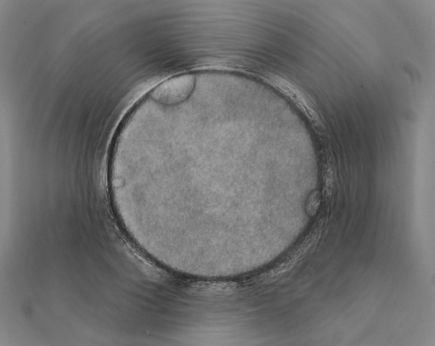X0000111440884200908241141