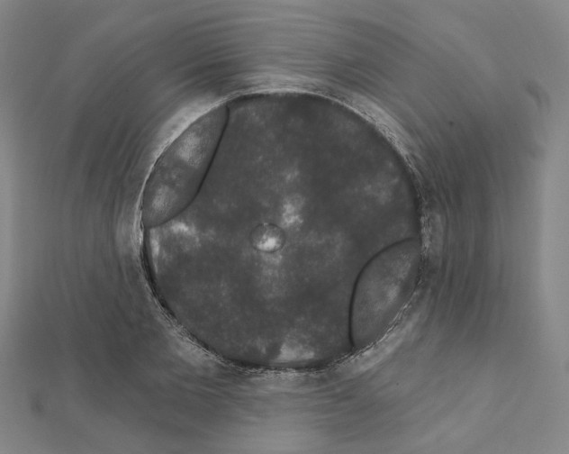 X0000111440885200908241141