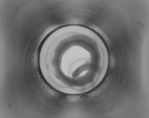X0000111440886200908241141