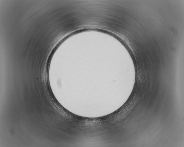 X0000111440887200908241141