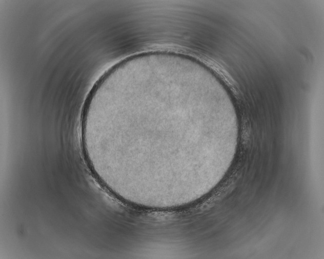 X0000111440888200908241141