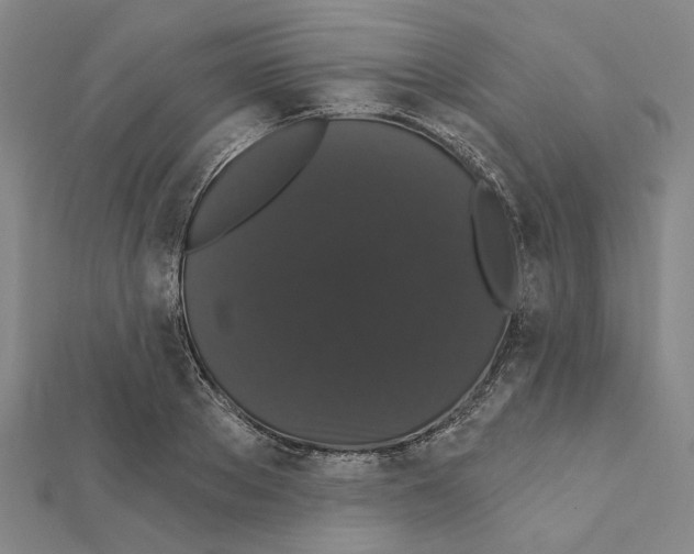 X0000111440889200908241141
