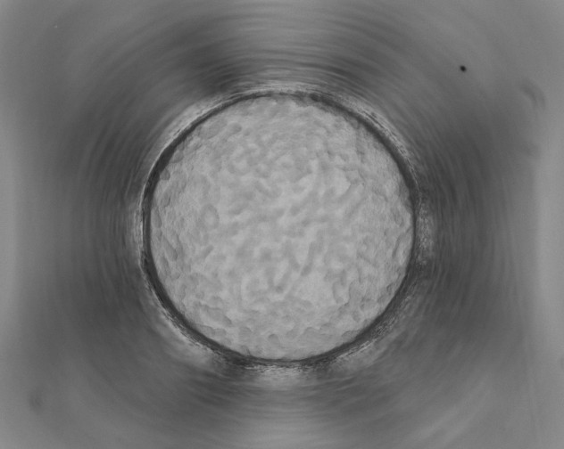 X0000111440890200908241141