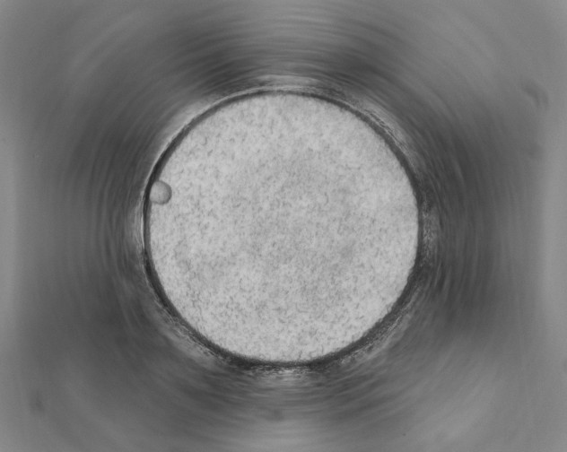 X0000111440891200908241141
