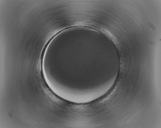 X0000111440892200908241141