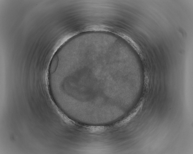 X0000111440893200908241141