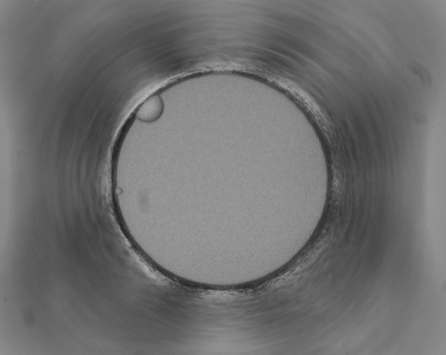 X0000111440894200908241141