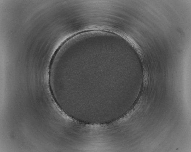 X0000111440896200908241141