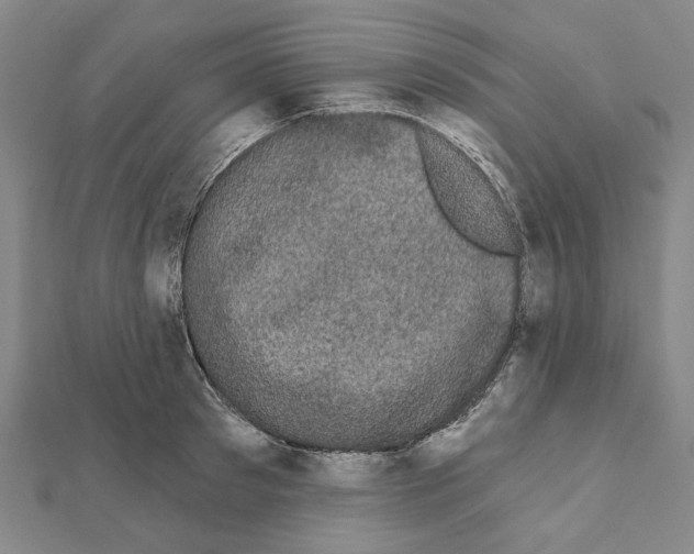 X0000111440897200908241141