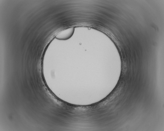X0000111440898200908241141