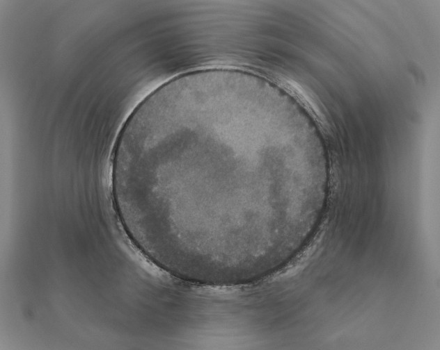 X0000111440900200908241141