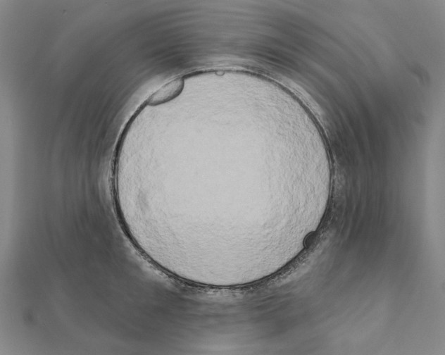 X0000111440901200908241141