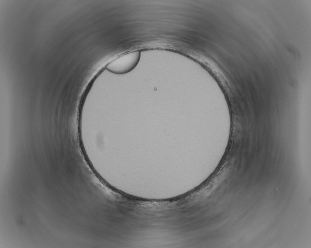 X0000111440902200908241141