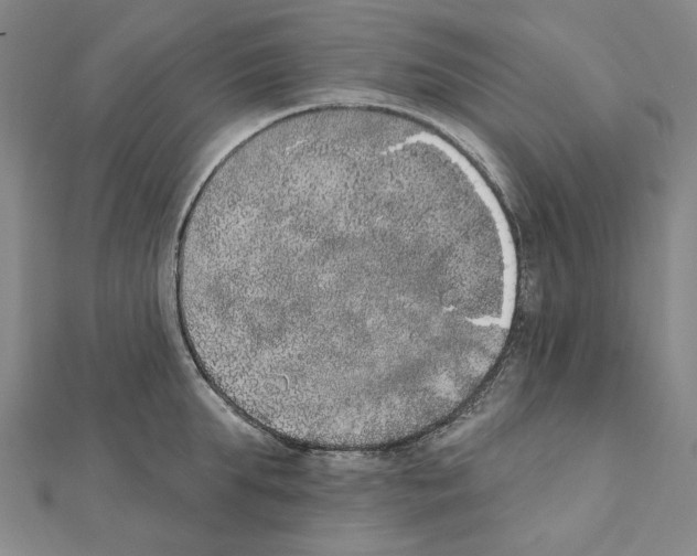 X0000111440903200908241141