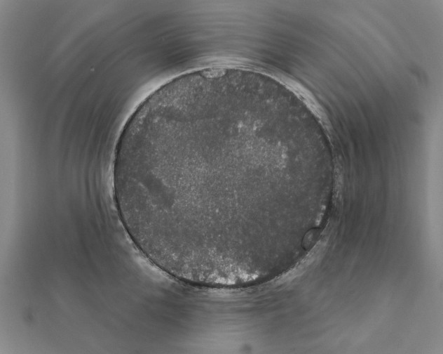 X0000111440904200908241141