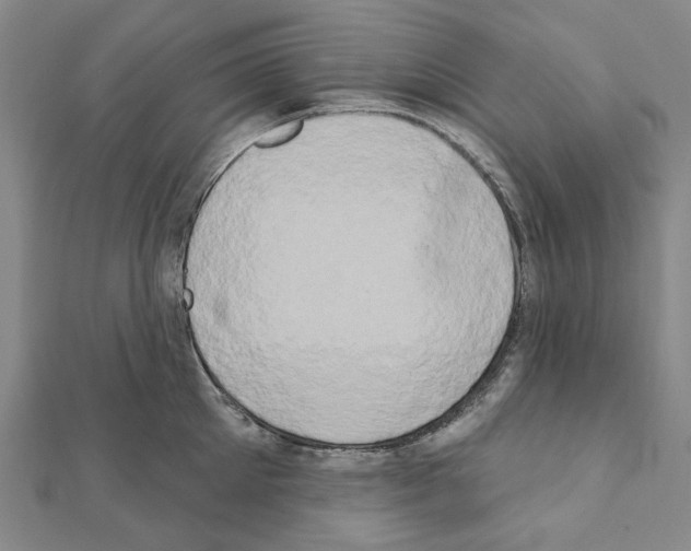 X0000111440905200908241141