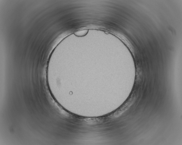 X0000111440906200908241141