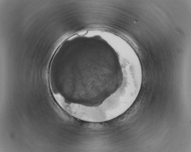 X0000111440907200908241141