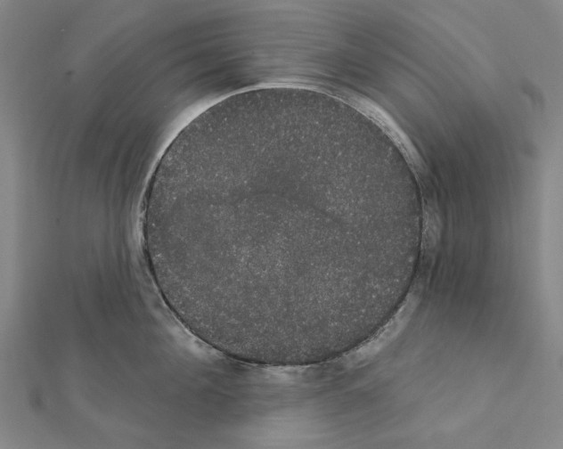 X0000111440908200908241141