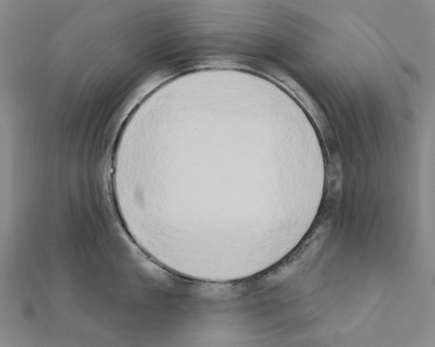 X0000111440909200908241141