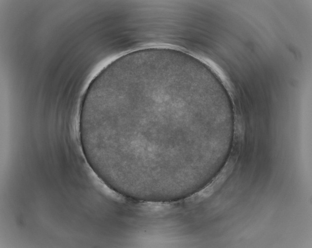X0000111440910200908241141