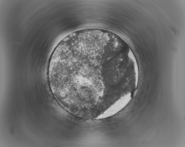 X0000111440912200908241141