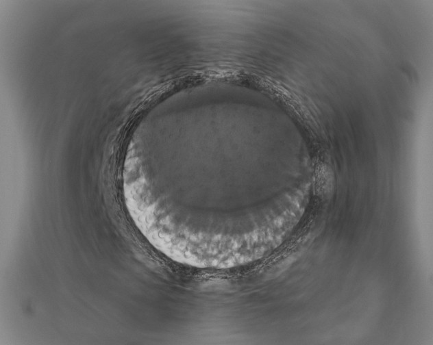 X0000111440913200908241140