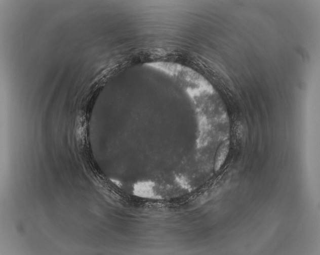 X0000111440914200908241140
