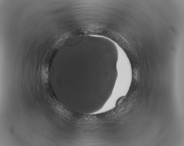 X0000111440915200908241140