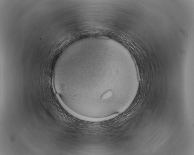 X0000111440916200908241140
