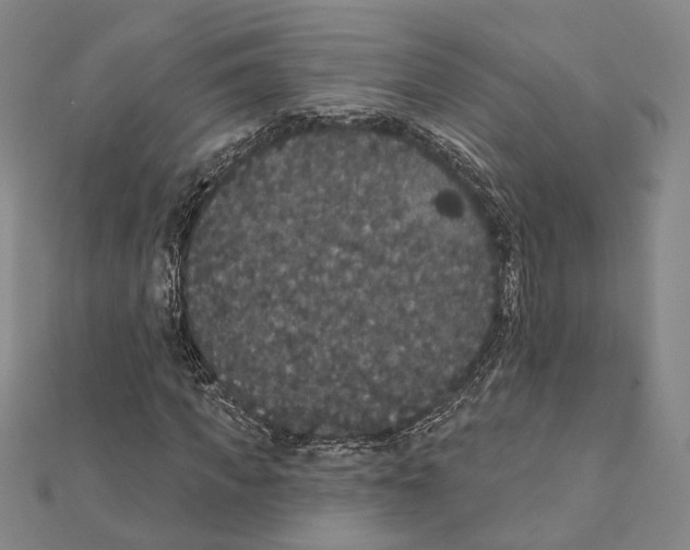 X0000111440917200908241140