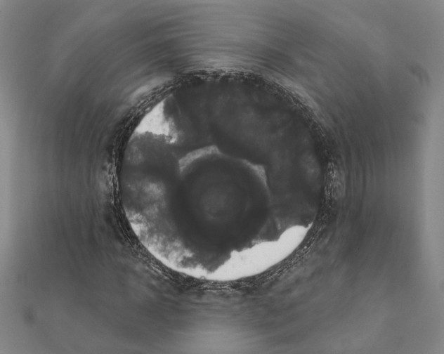 X0000111440918200908241140