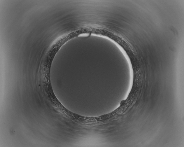 X0000111440919200908241140