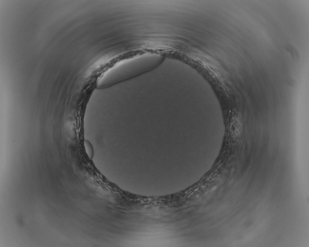 X0000111440920200908241140