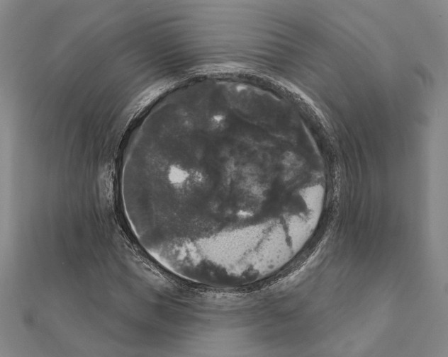 X0000111440921200908241140