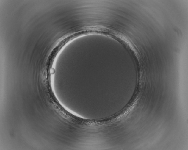 X0000111440923200908241140
