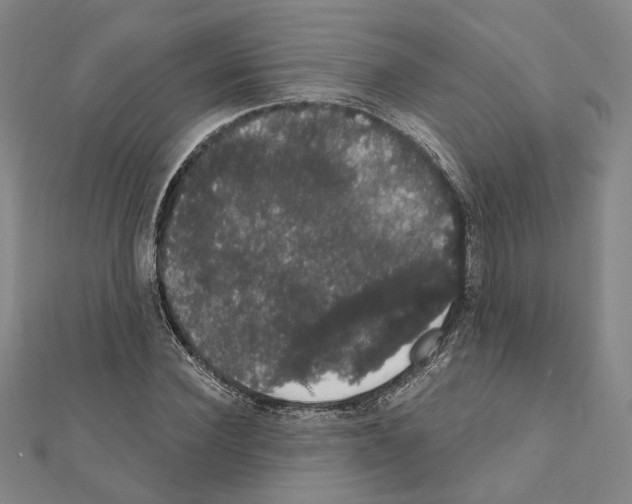 X0000111440924200908241140