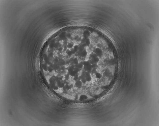 X0000111440925200908241140