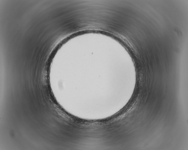 X0000111440926200908241140