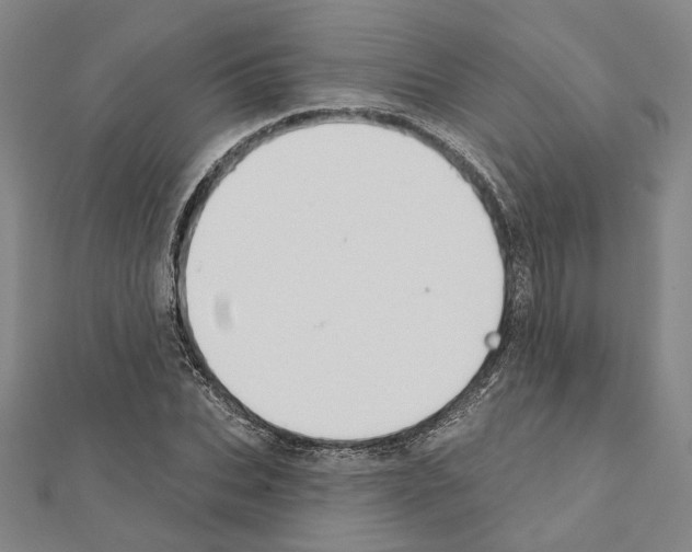 X0000111440927200908241140