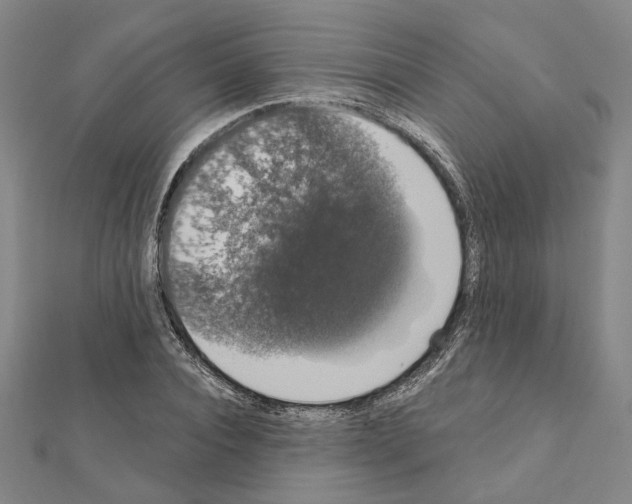 X0000111440928200908241140
