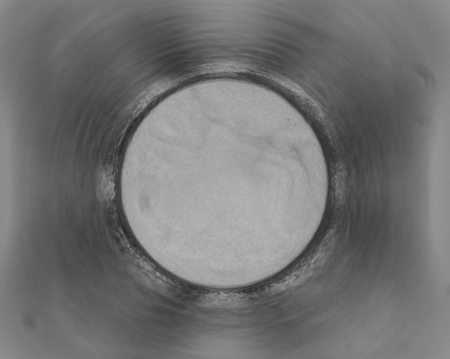 X0000111440929200908241140