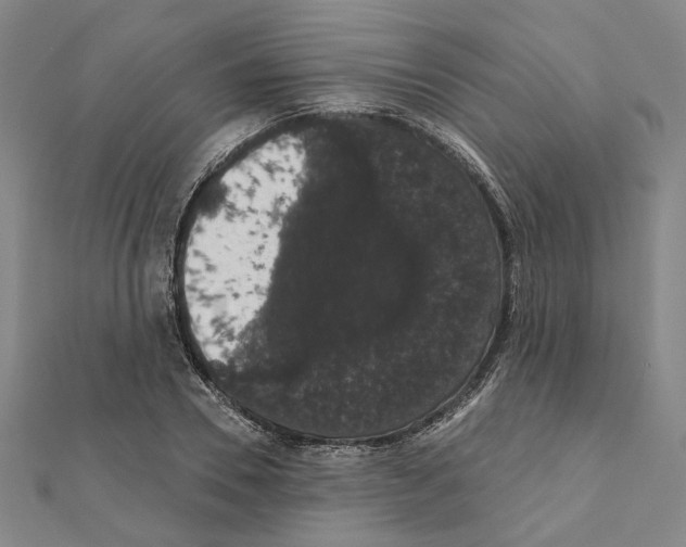 X0000111440930200908241140
