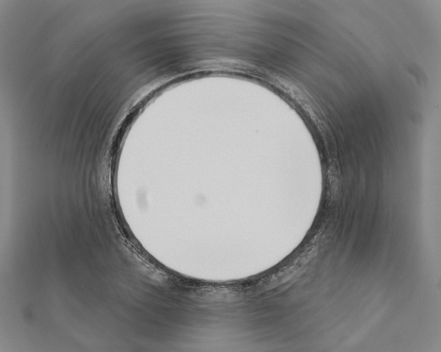 X0000111440931200908241140