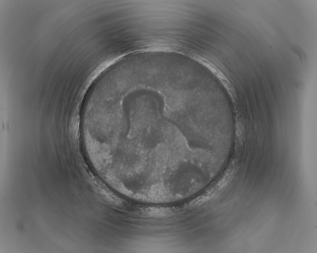 X0000111440933200908241140
