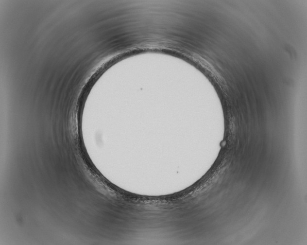 X0000111440934200908241141