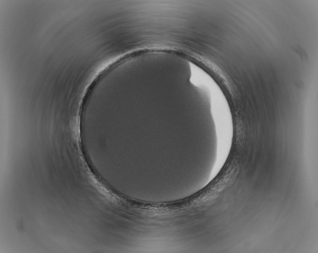 X0000111440935200908241141