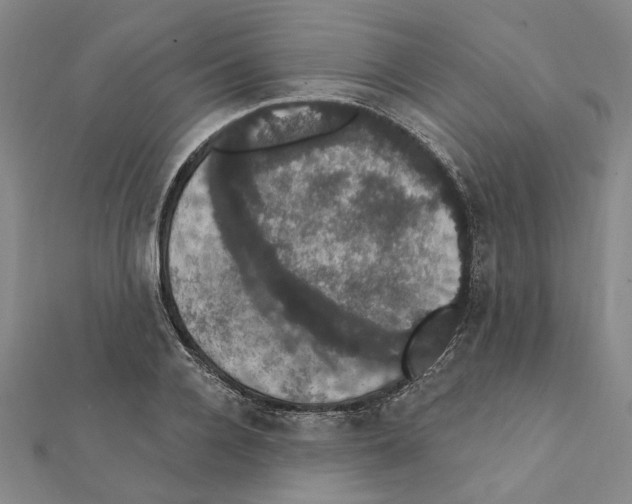 X0000111440936200908241141