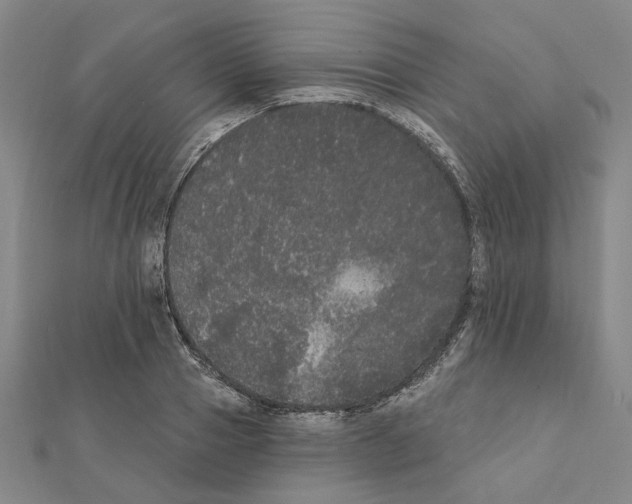 X0000111440937200908241141