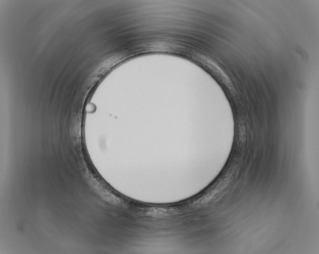 X0000111440938200908241141